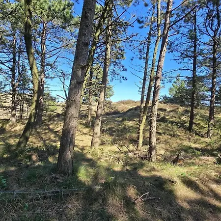 بيت للعطل 8 Person In Romo *